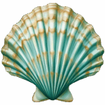 shell